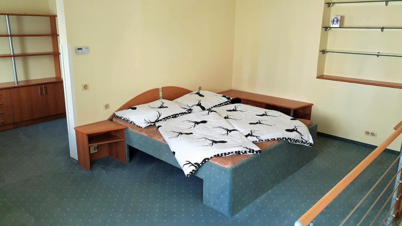 Spa Apartment Raisova Карлові Вари Екстер'єр фото